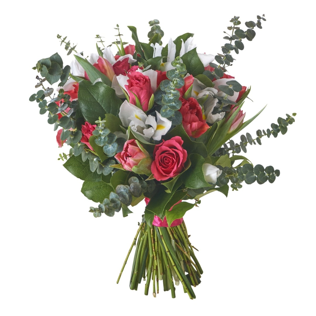 Naturens Elegance image 0