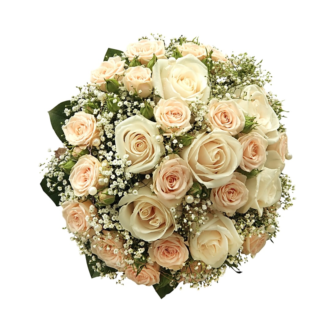 Elegante Roser image 0